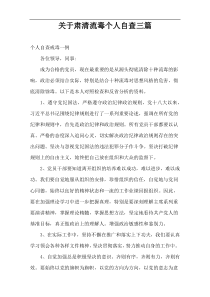 关于肃清流毒个人自查三篇