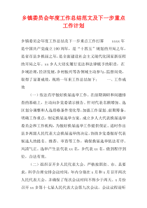 乡镇委员会年度工作总结范文及下一步重点工作计划