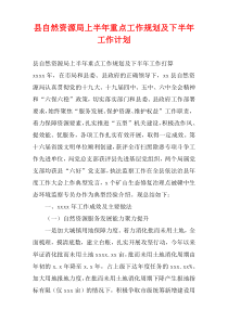 县自然资源局上半年重点工作规划及下半年工作计划