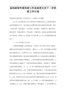 县民政局民政工作总结范文及下一步民政工作计划