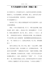 冬天的温暖作文范例（精编3篇）
