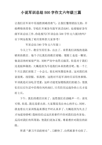 小说军训总结500字作文六年级三篇