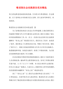 敬老院社会实践报告范本精选
