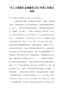 市人力资源社会保障局【2022年度最新】工作要点范例