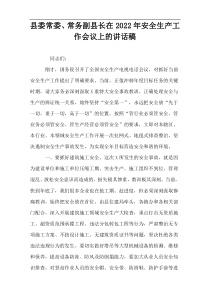 县委常委、常务副县长在2022年安全生产工作会议上的讲话稿