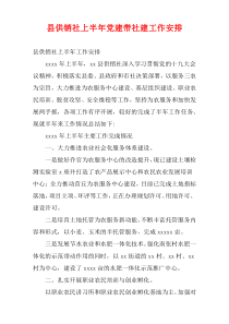县供销社上半年党建带社建工作安排