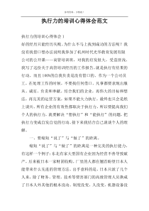 执行力的培训心得体会范文