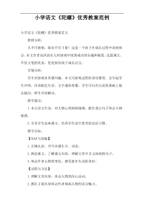 小学语文《陀螺》优秀教案范例