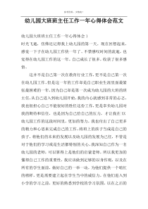 幼儿园大班班主任工作一年心得体会范文