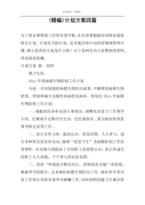 (精编)计划方案四篇