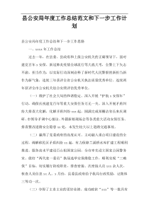 县公安局年度工作总结范文和下一步工作计划
