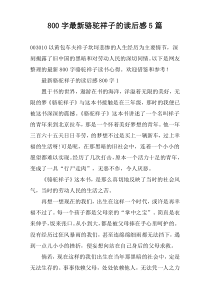 [800字]最新骆驼祥子的读后感5篇