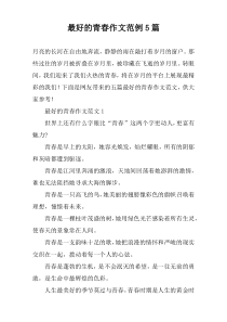 最好的青春作文范例5篇