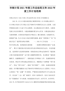 市统计局2021年度工作总结范文和2022年度工作计划范例