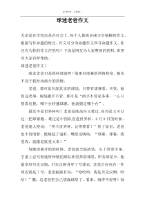 球迷老爸作文
