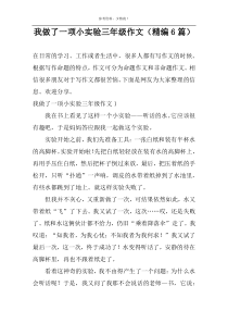 我做了一项小实验作文（精编6篇）