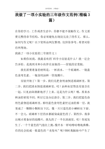 我做了一项小实验的作文范例（精编3篇）