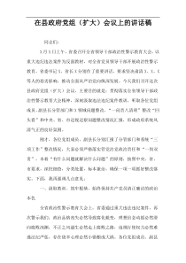 在县政府党组（扩大）会议上的讲话稿
