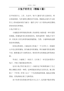 小兔子的作文（精编3篇）