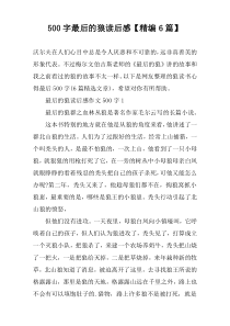 [500字]最后的狼读后感【精编6篇】