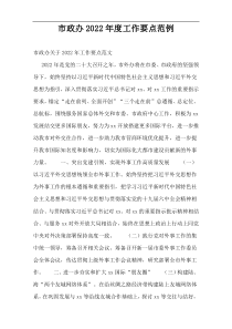 市政办2022年度工作要点范例