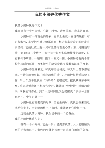 我的小闹钟优秀作文
