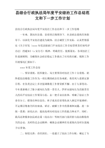 县综合行政执法局年度平安综治工作总结范文和下一步工作计划