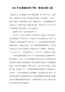 [800字]名著骆驼祥子第一章读后感【五篇】