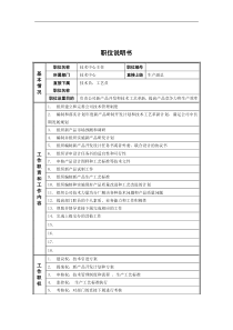 新华信-德龙钢铁技术中心主任职位说明书