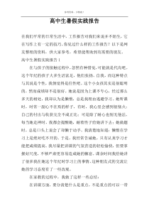高中生暑假实践报告