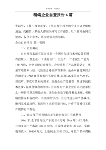 精编企业自查报告4篇