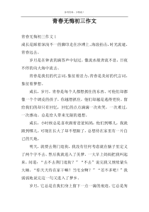 青春无悔初三作文