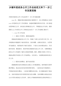 乡镇年度政务公开工作总结范文和下一步工作发展思路