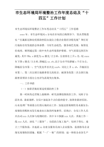 市生态环境局环境整治工作年度总结及“十四五”工作计划