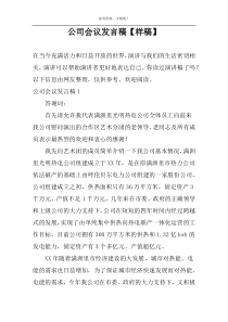 公司会议发言稿【样稿】