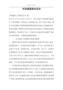 市场调查报告范本
