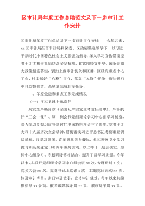 区审计局年度工作总结范文及下一步审计工作安排