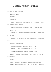 小学科学《观察叶》优秀教案