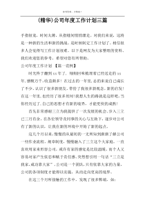 (精华)公司年度工作计划三篇