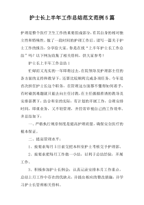 护士长上半年工作总结范文范例【五篇】