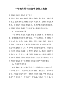 中学教师培训心得体会范文范例