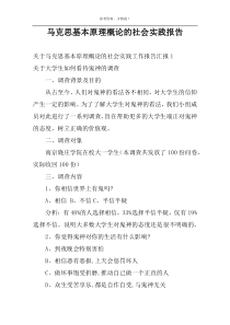 马克思基本原理概论的社会实践报告