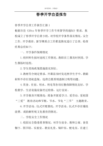 春季开学自查报告