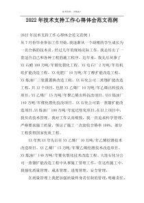 2022年技术支持工作心得体会范文范例