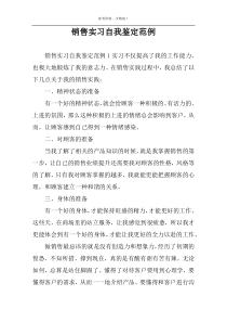 销售实习自我鉴定范例