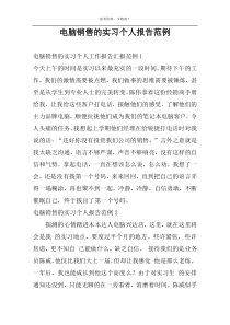 电脑销售的实习个人报告范例