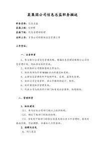 某集团公司信息总监职务描述