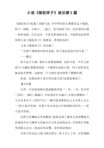 小说《骆驼祥子》读后感【5篇】