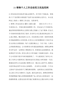 it销售个人工作总结范文优选范例