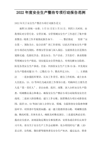 2022年度安全生产整治专项行动报告范例